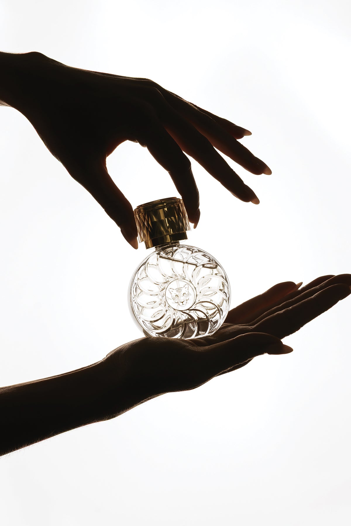 Wildish - Eau de Parfum