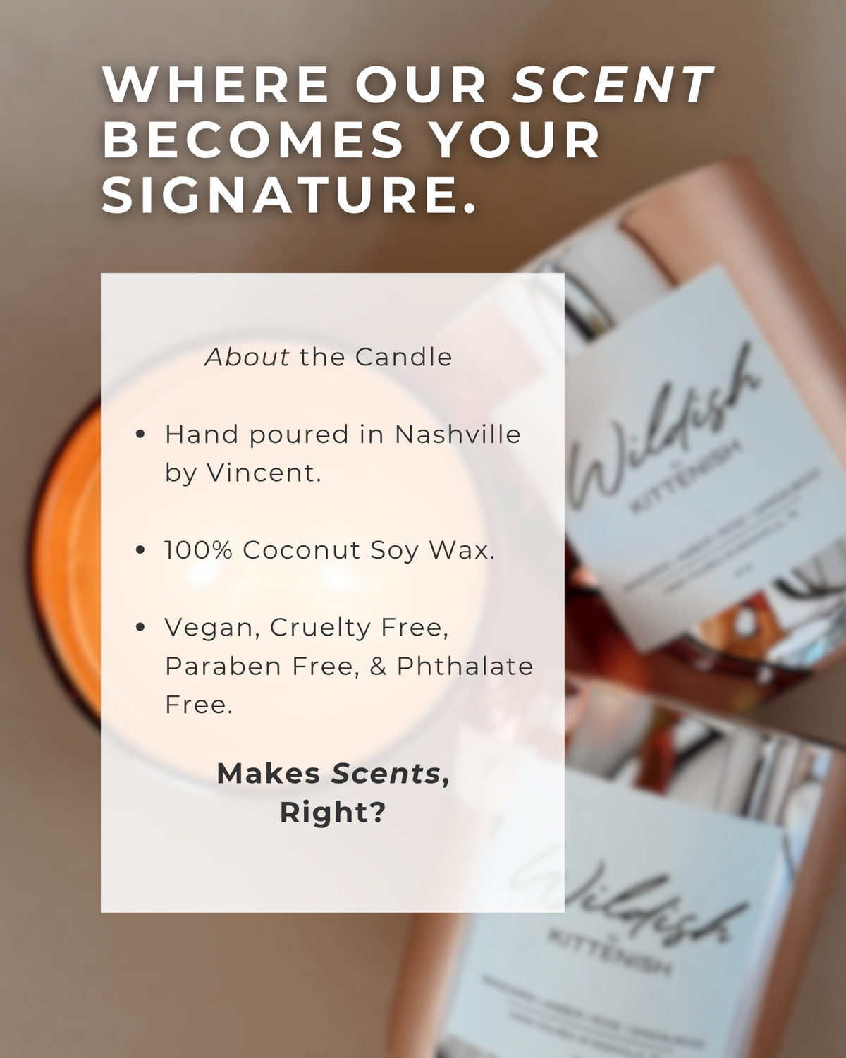 Kittenish "Wildish" Candle 12 Oz.